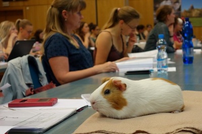 Lidé se na semináři dozvěděli, jak ještě mohou zvířata uzdravovat lidi
