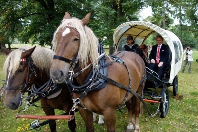 Jubileum slavily všechny tři vily domova důchodců