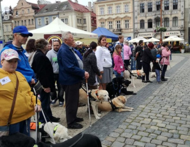 Vodící psi se předvedli na závodě v Liberci