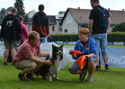 Za každou korunu děkujeme, říkají v útulku Dášenka